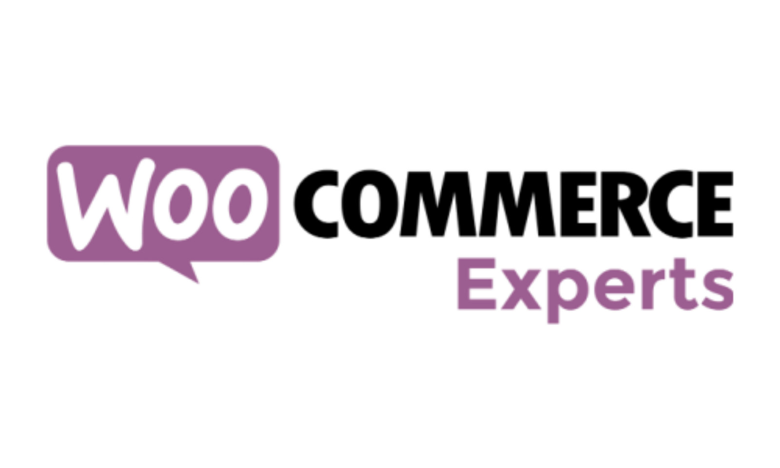 WooCommerce Audit